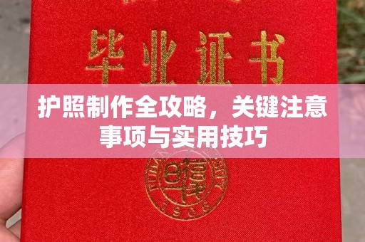 荔城护照制作全攻略，关键注意事项与实用技巧