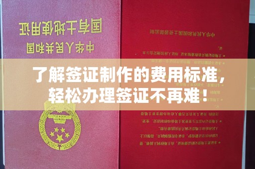 荔城了解签证制作的费用标准，轻松办理签证不再难！