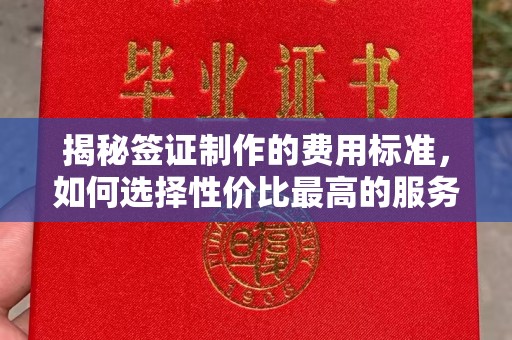 荔城揭秘签证制作的费用标准，如何选择性价比最高的服务？