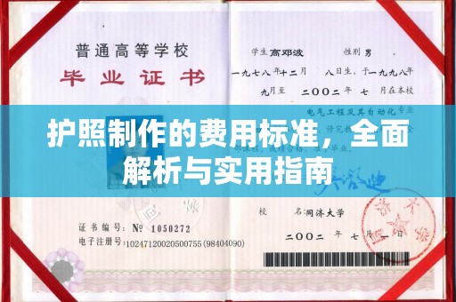 荔城护照制作的费用标准，全面解析与实用指南