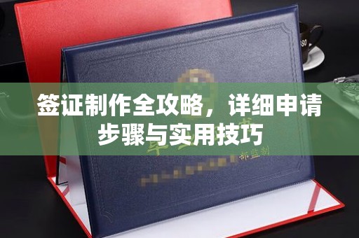 荔城签证制作全攻略，详细申请步骤与实用技巧